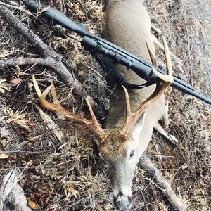 Meet your Posher, Jonathon